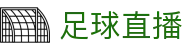 玩球App下载中心_体育直播比分查询与赛事数据分析入口